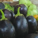brinjal3.webp