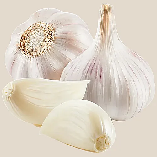 garlic1.webp