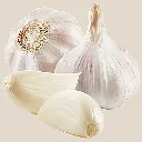 garlic1.webp
