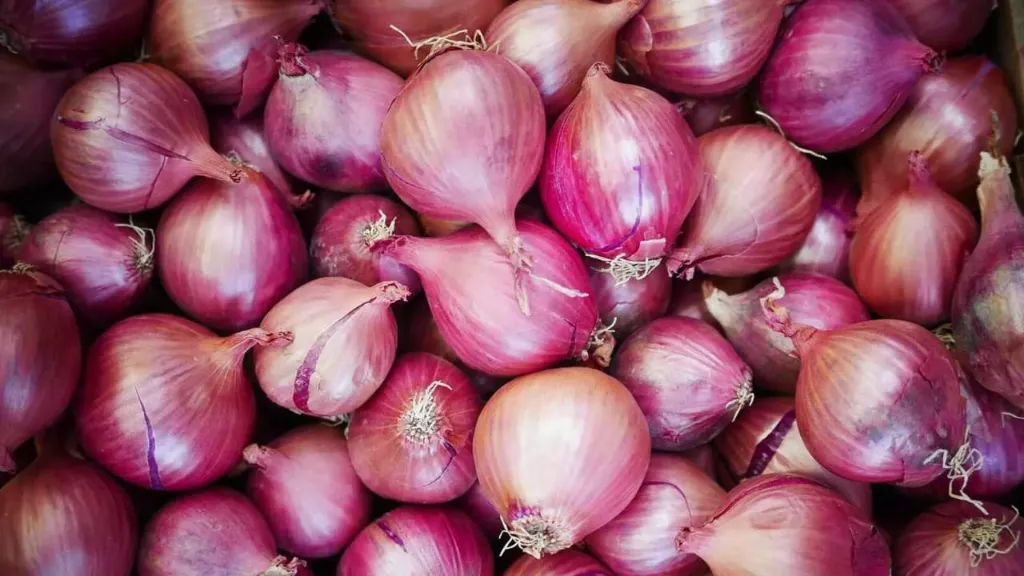 onion3.webp