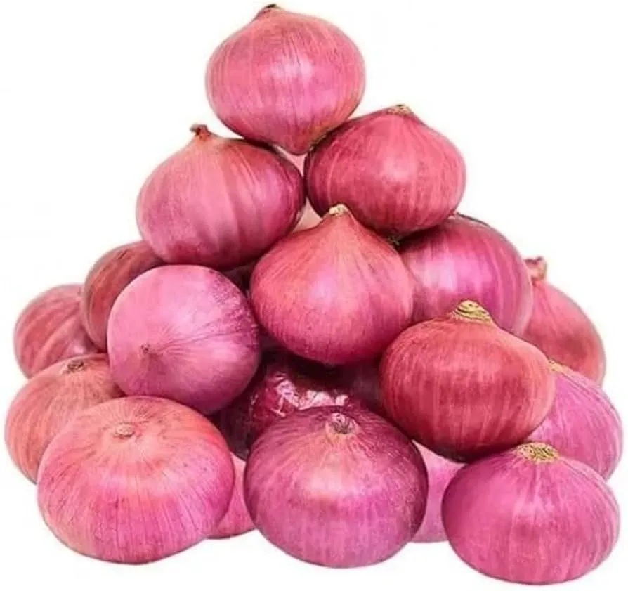 onion1.webp