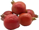 pomegranate5.webp