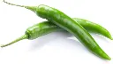 chilli1.webp
