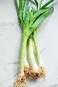 green garlick1.webp