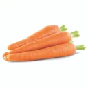 carrot / gajar